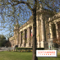 Visuel Paris Grand Palais