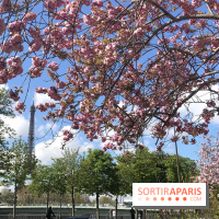 Visuel Paris, Tour Eiffel printemps