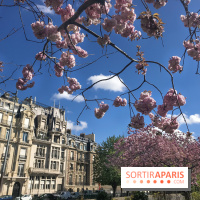 Visuel Paris printemps