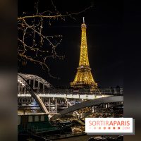 Visuel Paris Tour Eiffel pont nuit