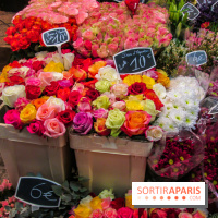Visuel Paris marché d'Aligre fleurs
