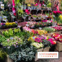 Visuel Paris marché d'Aligre fleurs