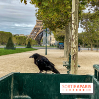 Visuel Paris Vendredi 13