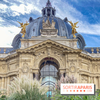 Visuel Paris Petit Palais