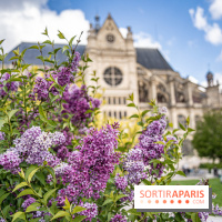 Visuel Paris Jardin Nelson Mandela Eglise Saint Eustache