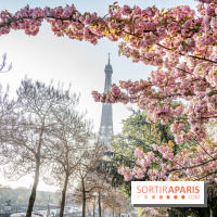 Visuel Paris Tour Eiffel cerisiers en fleurs