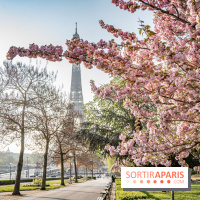 Visuel Paris Tour Eiffel cerisiers en fleurs