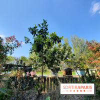 Visuel Paris - rucher