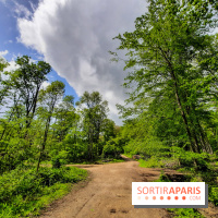Visuel Paris balade forêt île de france