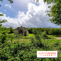 Visuel Paris balade forêt île de france