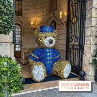 Paris visuel - noel Paris - ritz Paris