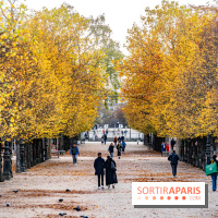 visuel Paris visuel  -  A7C6383