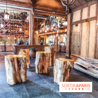 Cité Suspendue, le nouvel hôtel 2018 du Parc Astérix : nos photos