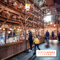 Cité Suspendue, le nouvel hôtel 2018 du Parc Astérix : nos photos