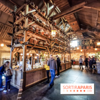 Cité Suspendue, le nouvel hôtel 2018 du Parc Astérix : nos photos