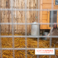 Brach Paris, l'hôtel signé Starck dans le 16e