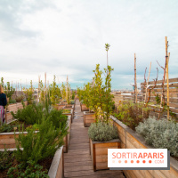 Brach Paris, l'hôtel signé Starck dans le 16e