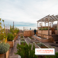 Brach Paris, l'hôtel signé Starck dans le 16e