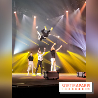 Les photos du Festival du Cirque de Demain 2019 - Troupe Acrobatique de Dalian