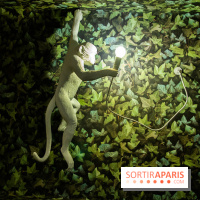 Garden Café : nos photos