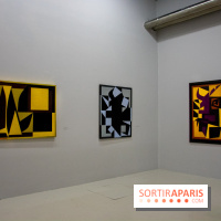 Exposition Vasarely Centre Pompidou, nos photos