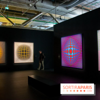Exposition Vasarely Centre Pompidou, nos photos