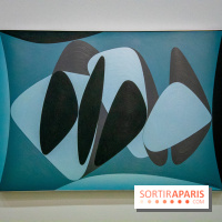 Exposition Vasarely Centre Pompidou, nos photos