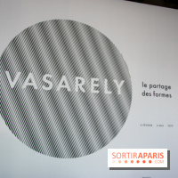 Exposition Vasarely Centre Pompidou, nos photos