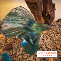 Chocolat de Pâques 2019 au Prince de Galles