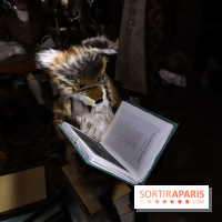 Le Musée Grévin, nouvelle génération - les photos