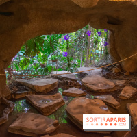 Mille et une Orchidées 2019 au Jardin des Plantes, les photos