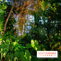 Mille et une Orchidées 2019 au Jardin des Plantes, les photos