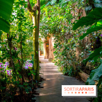 Mille et une Orchidées 2019 au Jardin des Plantes, les photos