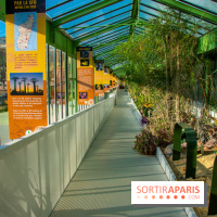 Mille et une Orchidées 2019 au Jardin des Plantes, les photos