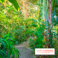 Mille et une Orchidées 2019 au Jardin des Plantes, les photos