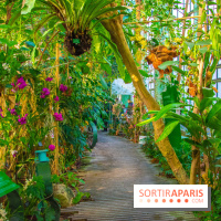 Mille et une Orchidées 2019 au Jardin des Plantes, les photos