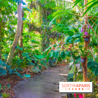 Mille et une Orchidées 2019 au Jardin des Plantes, les photos