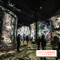 Exposition Van Gogh à l'Atelier des Lumières, les photos