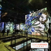 Exposition Van Gogh à l'Atelier des Lumières, les photos