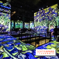 Exposition Van Gogh à l'Atelier des Lumières, les photos