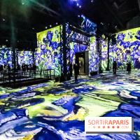 Exposition Van Gogh à l'Atelier des Lumières, les photos