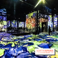 Exposition Van Gogh à l'Atelier des Lumières, les photos