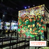 Exposition Van Gogh à l'Atelier des Lumières, les photos