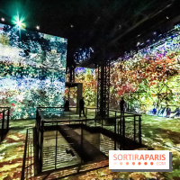 Exposition Van Gogh à l'Atelier des Lumières, les photos