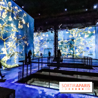 Exposition Van Gogh à l'Atelier des Lumières, les photos