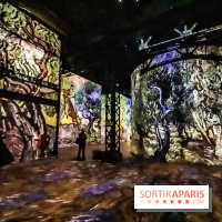 Exposition Van Gogh à l'Atelier des Lumières, les photos