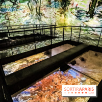 Exposition Van Gogh à l'Atelier des Lumières, les photos