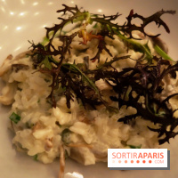 Tous : restaurant bistronomique à Paris, les photos