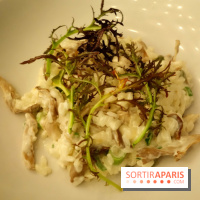 Tous : restaurant bistronomique à Paris, les photos