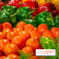 Maison Colom pose ses valises chez Lafayette Gourmet